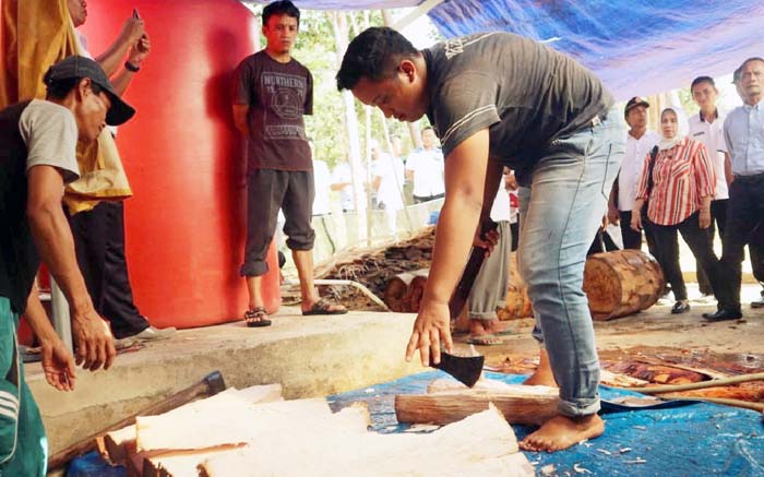 Tepung Lokal, BKP Kementan Libatkan Akademisi Bangun Industri Pangan